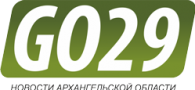 GO29, сетевое информационное издание